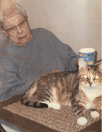 Doris Jean Arnold Obituary