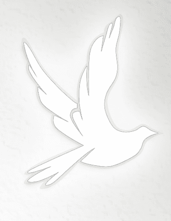 Sandra J. (Hann) Whitsel Obituary